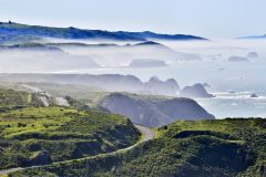 Foggy morning at Bodega Bay via Pacific Coast Highway in Sonoma County, California, USA.